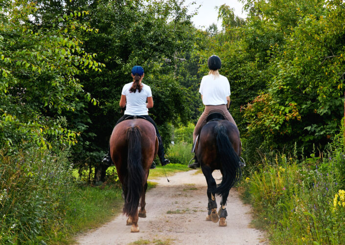 Why is Summer the Best Season?